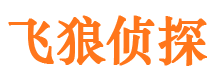 晋安市调查公司